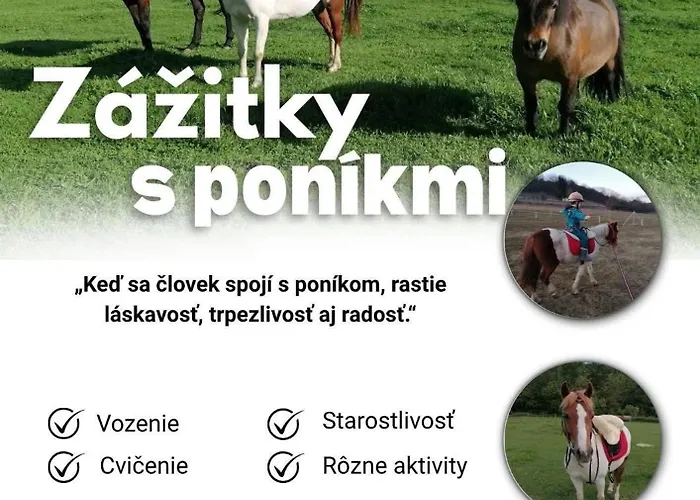 Apartmán Dom S Vinnou Pivnicou *